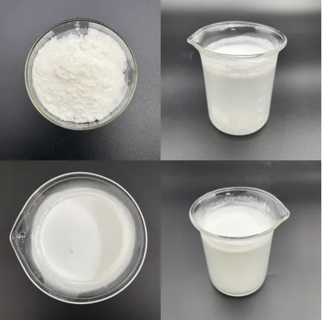 Coconut Milk Powder