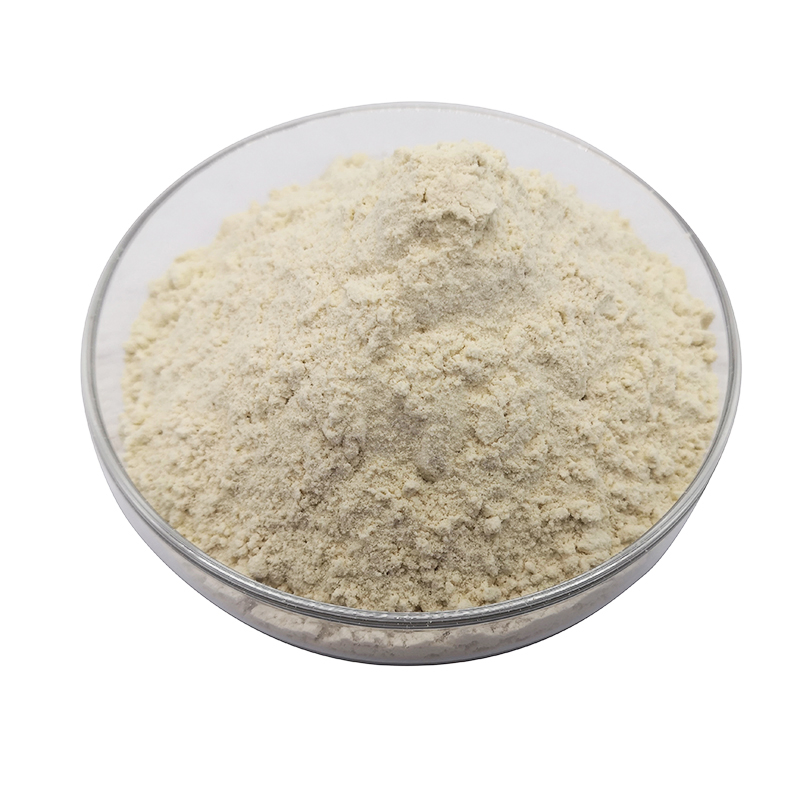 High-Quality Hydrolyzed Wheat Gluten (HWG) Premium Plant-Based Protein for Animal Feed