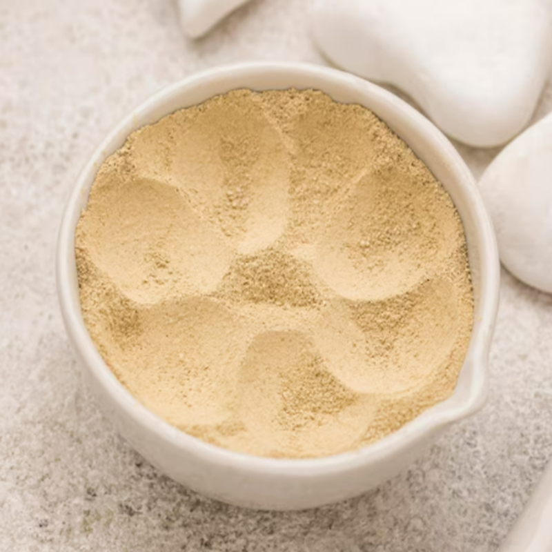 Modern Plant Based Alternative Seasoning Chicken Essence Powder