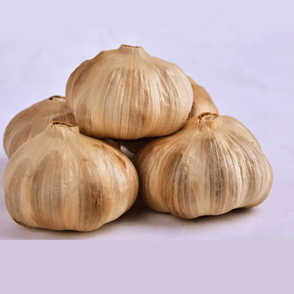 Black Garlic Fermentation