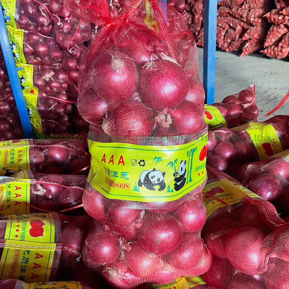 Best Selling Red Onions Fresh Vegetables and Packaged for Export Natural Fresh Red Onions Wholesale