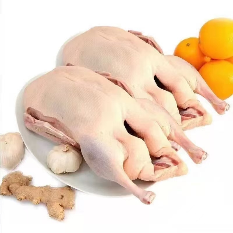 Freshly Packaged Bulk Frozen Whole Duck for Traditional