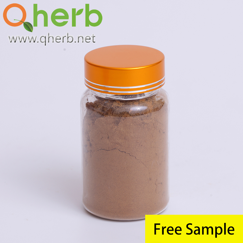 Quality Wild Reishi Mushroom Extract Powder 40% Reishi Polysaccharide Ganoderma Lucidum