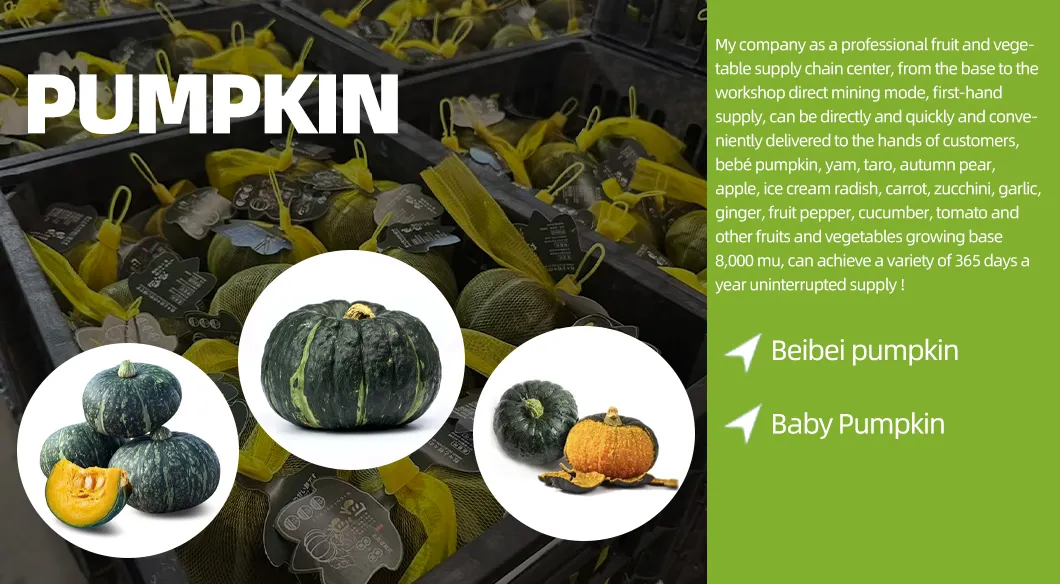 Beibei Baby Pumpkin Banner