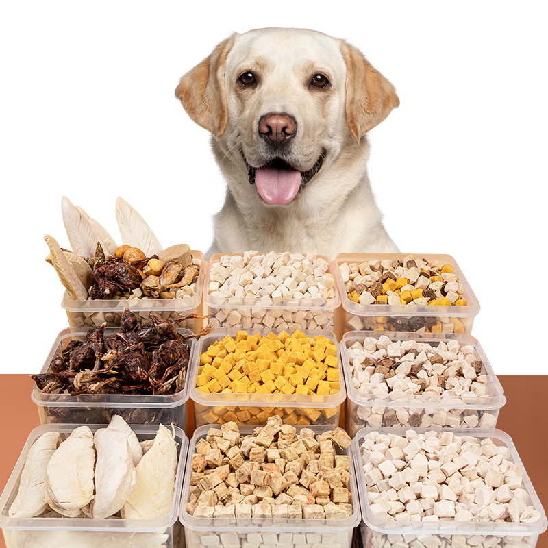 Highly Palatable Gluten-Free Freeze Dried Food with Quick Delivery