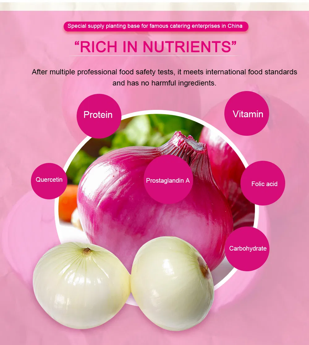 Export Quality Onions