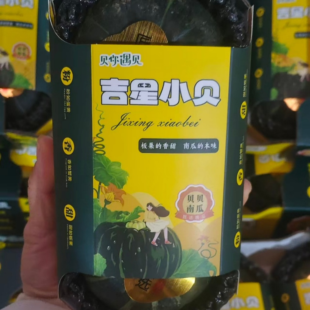 Custom Private Label Minimally-Processed Premium Baby Pumpkin for Infant Nutrition