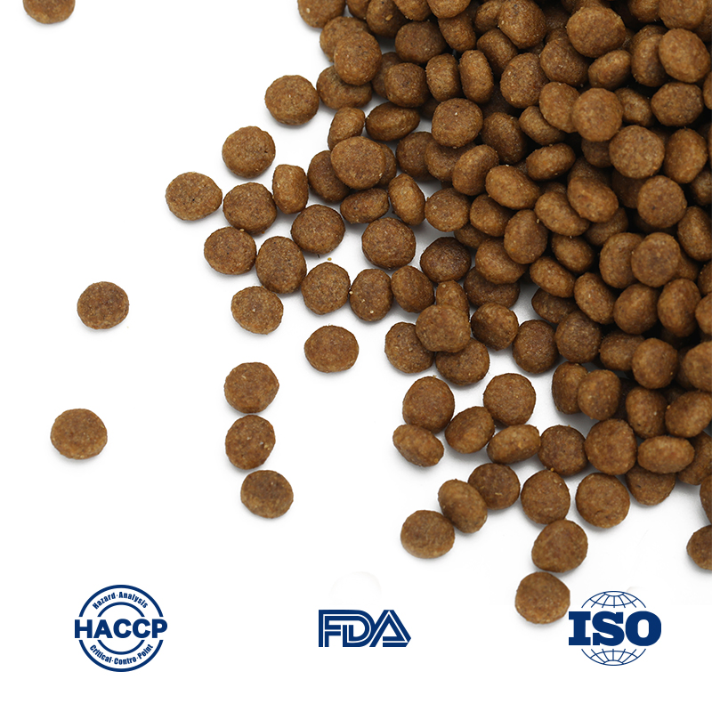 Nutritious Gluten-Free Dry Cat Food with High Protein for Kittens