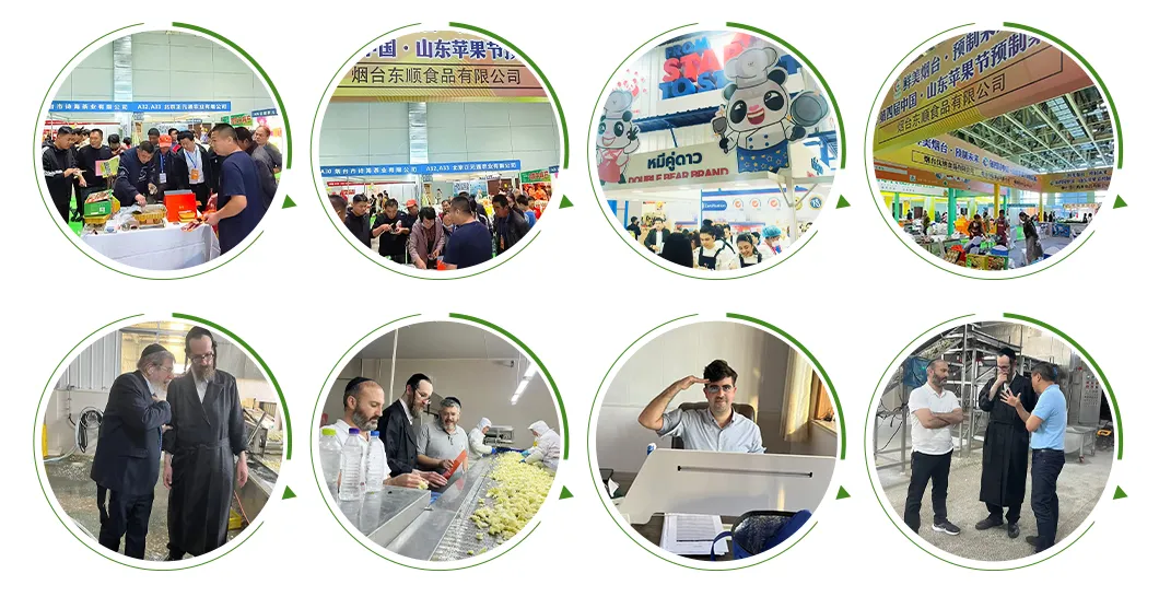 Exhibition Participation