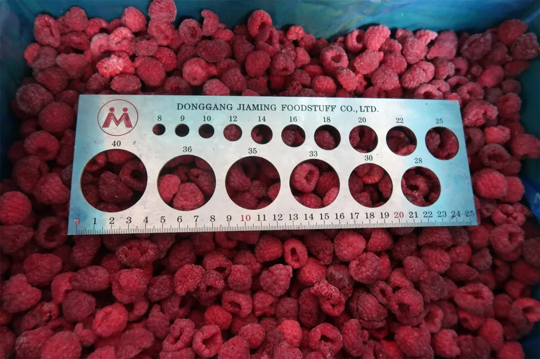 Frozen Raspberry Photo 6