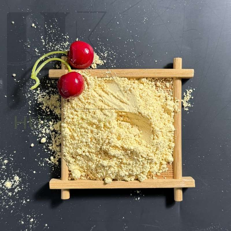 Bulk Export Toasted Soy Flour Non-GMO Plant Based Protein HACCP Certified Soybean Ingredient