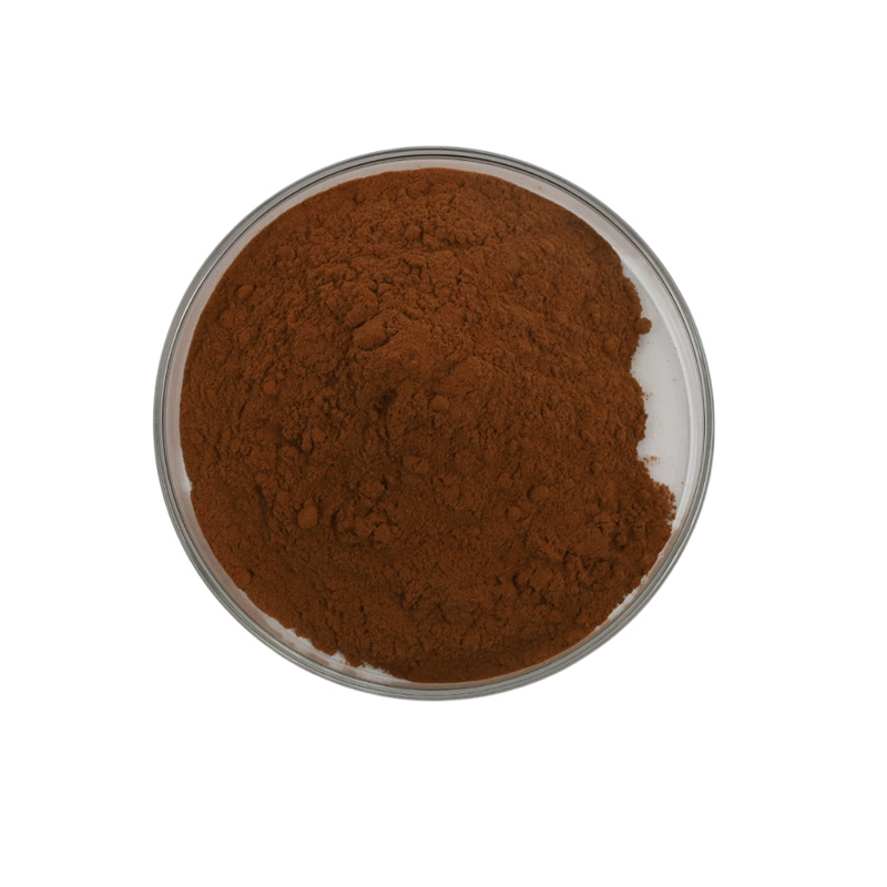 Quality Wild Reishi Mushroom Extract Powder 40% Reishi Polysaccharide Ganoderma Lucidum