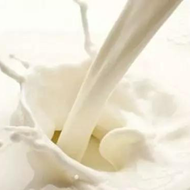 Premium Donkey Milk Powder - Low Lactose, Easy to Digest for Baby &amp; Elderly