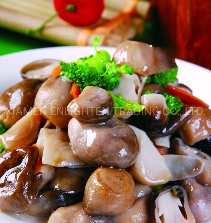 Instant Canned Food Well Preserved and Vacation Nessary Strawmushroom