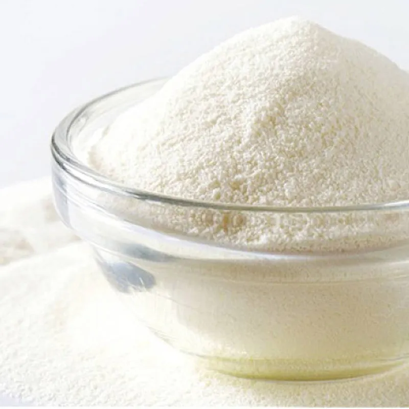 Casein Protein Powder