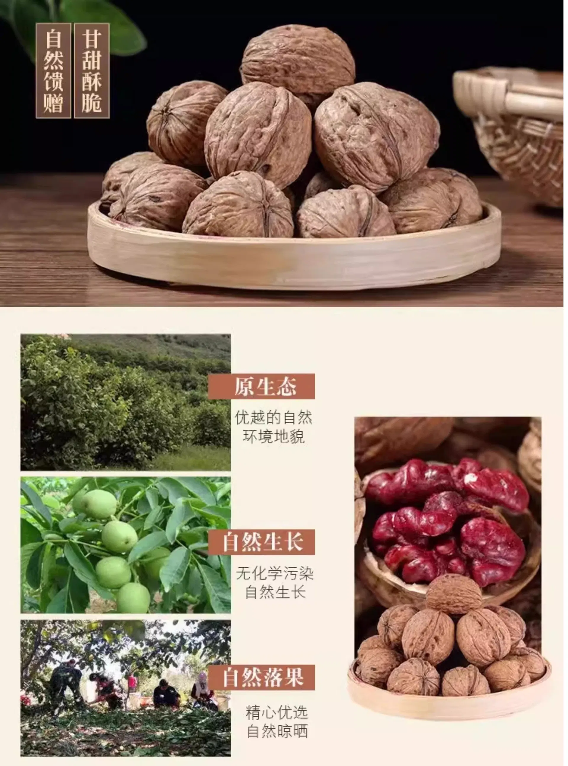 Detailed Description Image