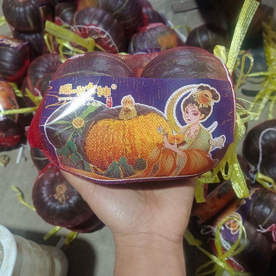 Freshly Picked Low-Sodium Authentic Baby Pumpkin for Animal Nutrition