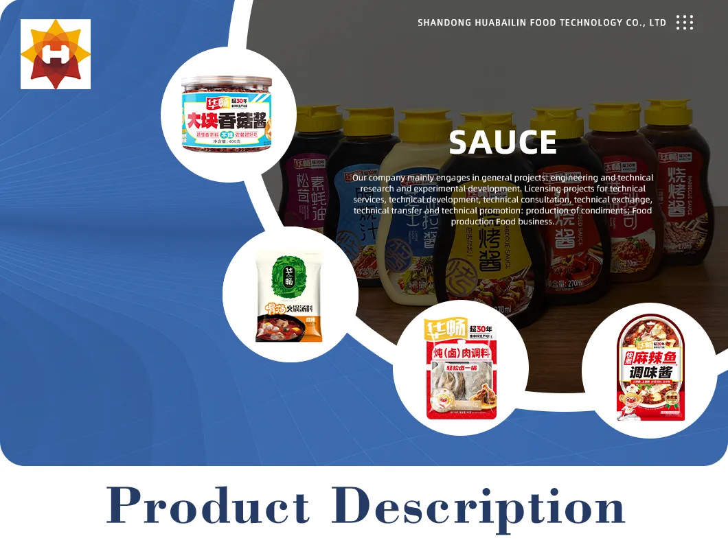 BBQ Seasoning & DIP Sauce