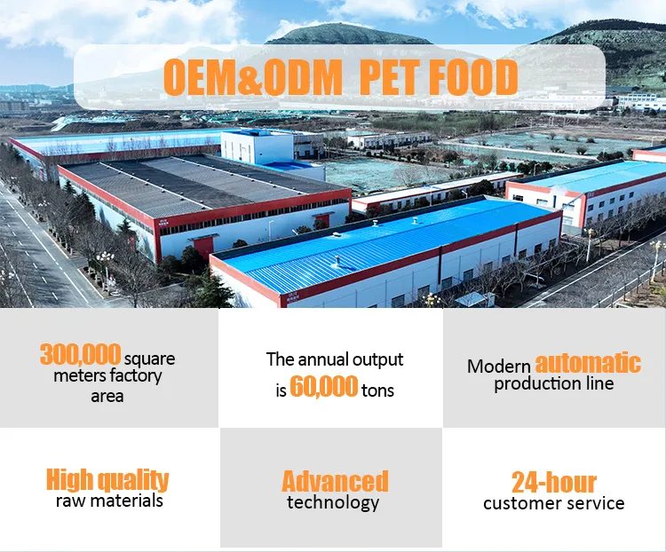 Dry Dog Food Factory