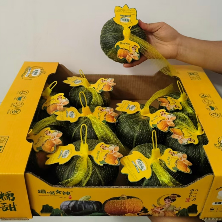 Low Gi Smooth Premium Baby Pumpkin for Clinical Nutrition