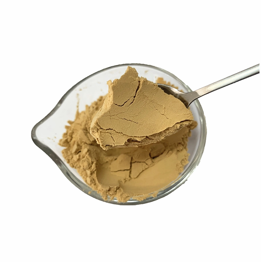 Concentrated Soy Sauce Powder Soy Sauce Paste for The Condiments Ingredients