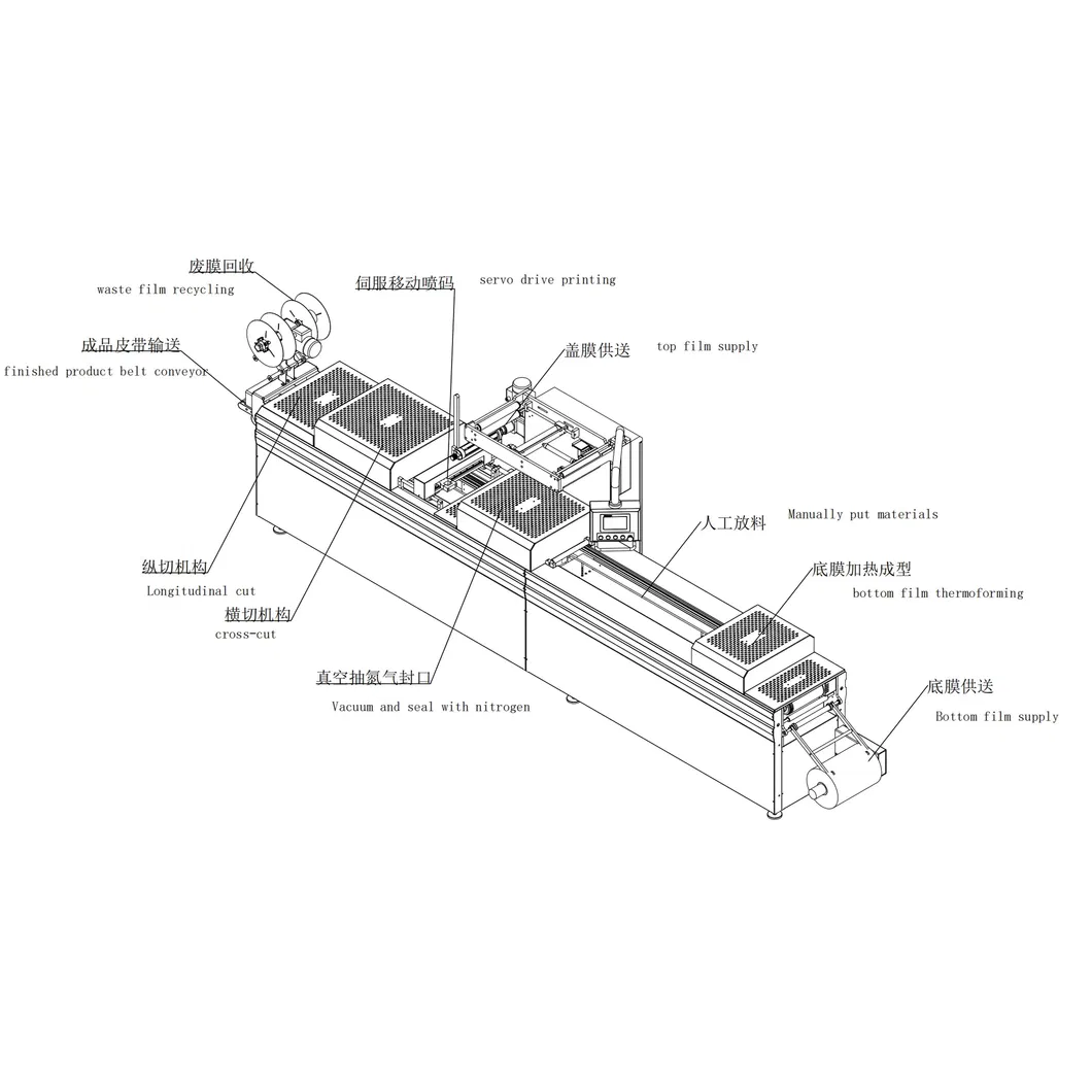 Thermoforming Packaging Machine