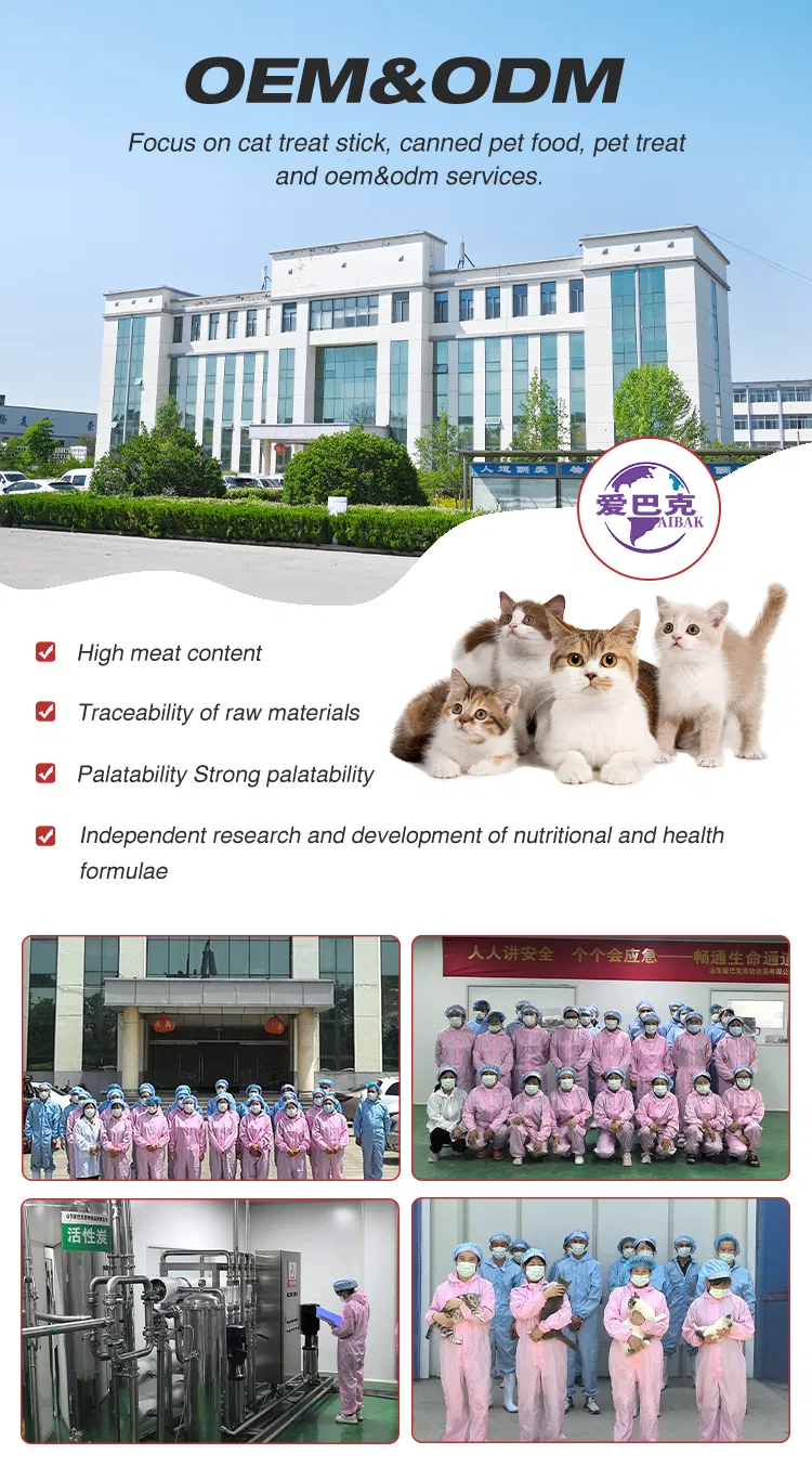 Cat Wet Food Nutrition