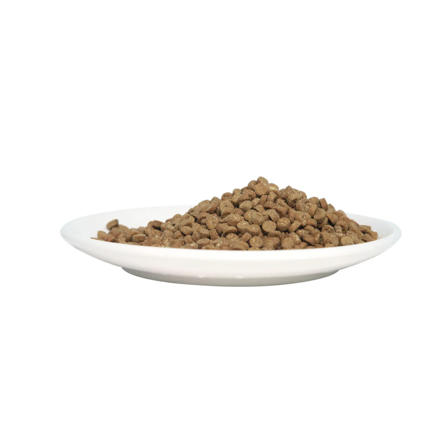 Premium High Protein Crunchy Dog Food for Active Pets