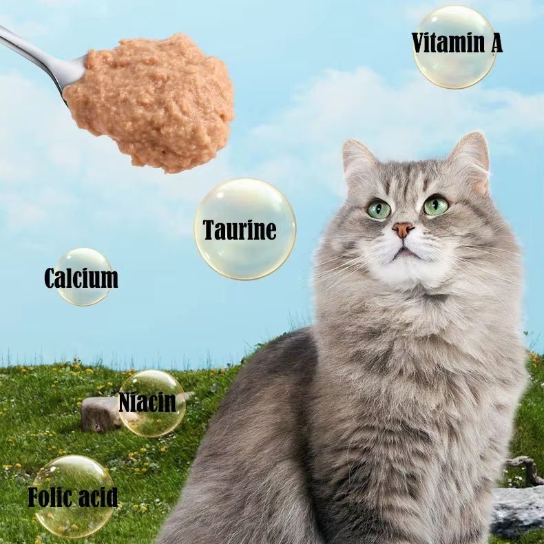 OEM/ODM Premium Wet Cat Food with Abalone Sauce &amp; Goat's Milk, Customized High Protein Canned Food in Delicious Flavors