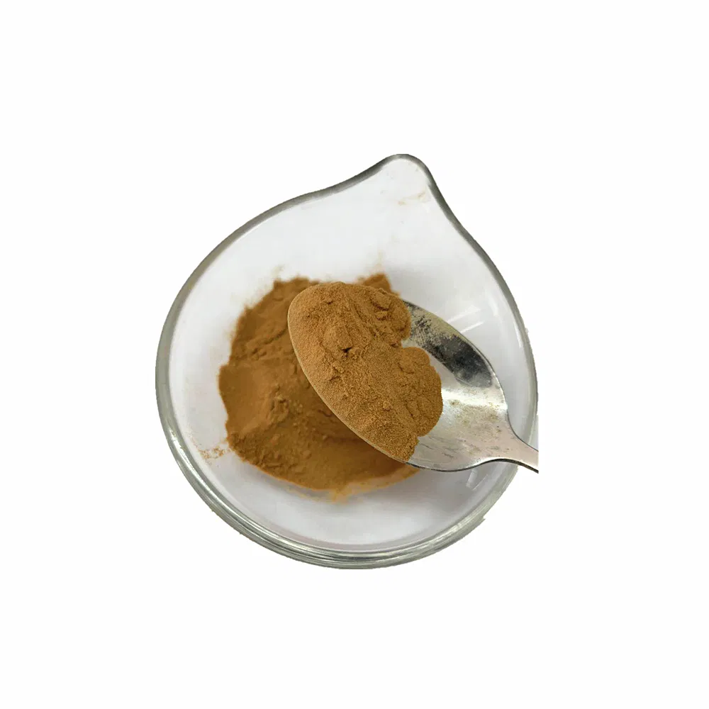 Soy Sauce Powder Vinegar Powder Condiments for Snack Flavor Hot Spice