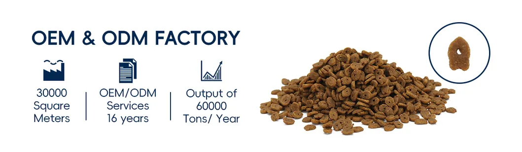 Nutritious Kitten Food