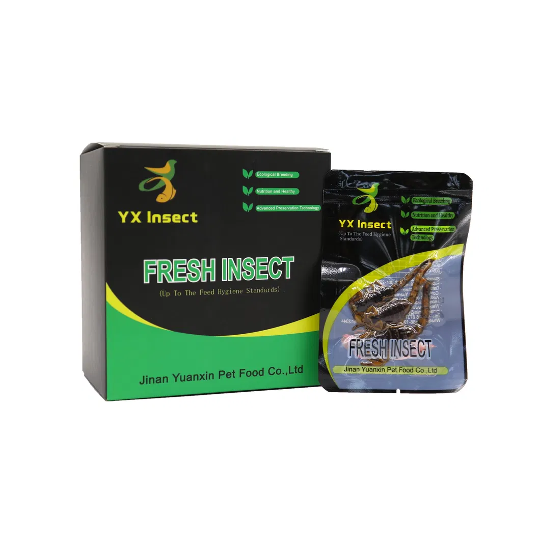 Non-Live Pet Food Fresh Scorpion