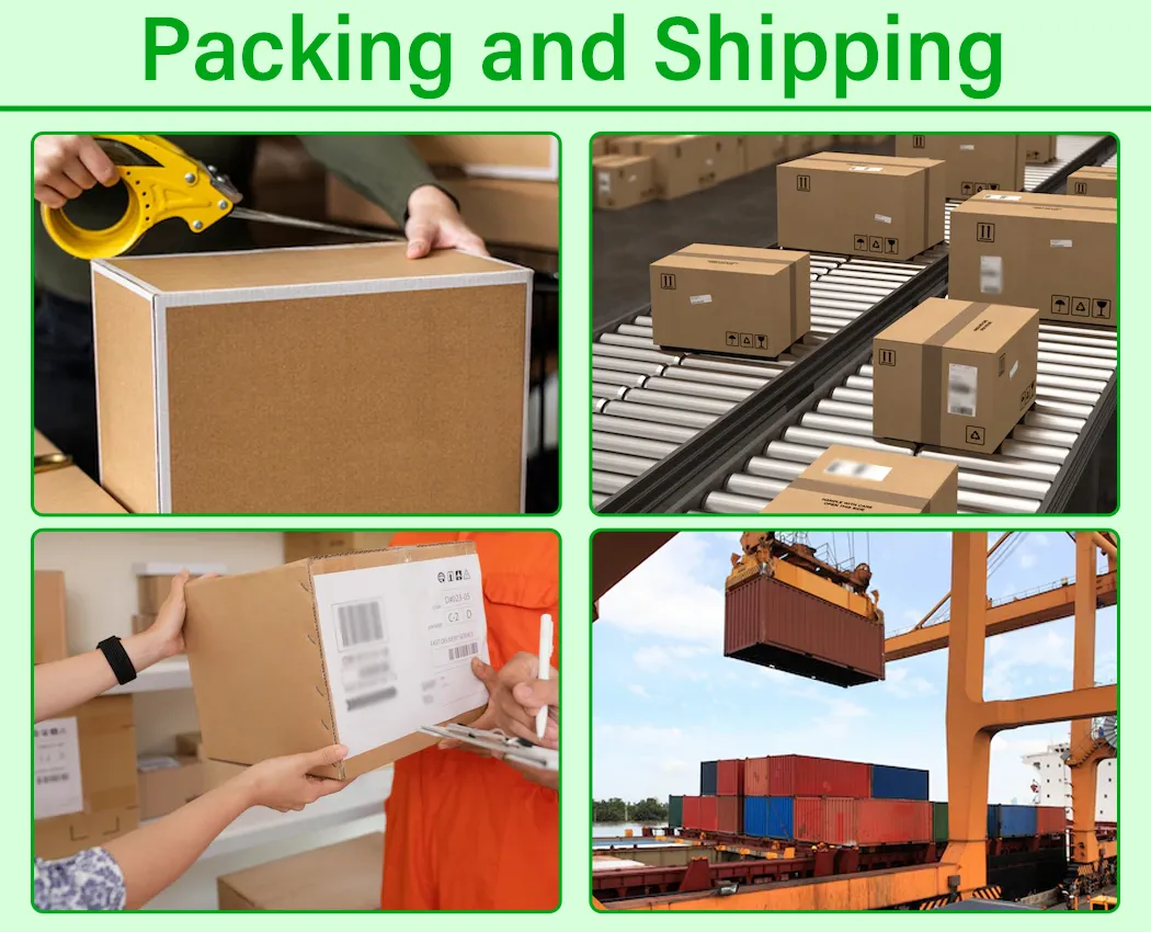 Shipping Logistics