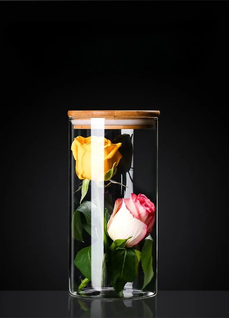 Salt and Pepper Shakers Condiment