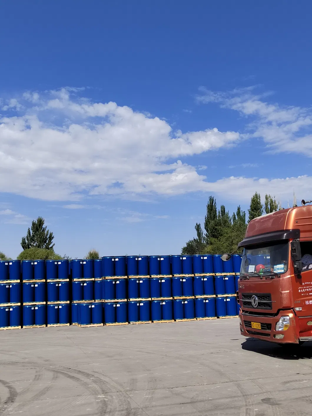 Tomato Paste Certification