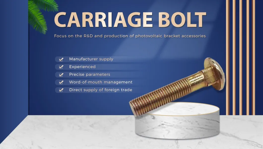 Carriage Bolt Display 1