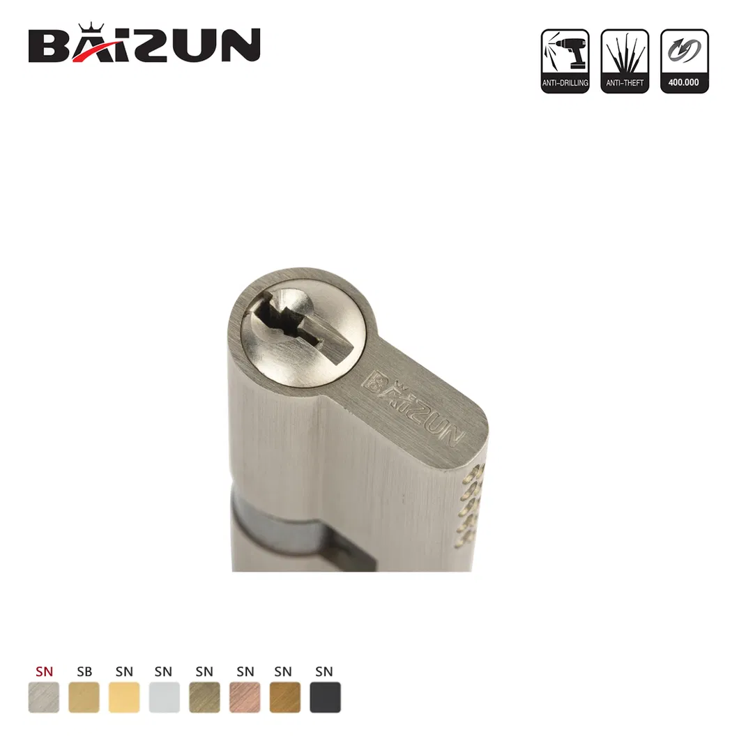 Lock Cylinder with 3 Brass Keys