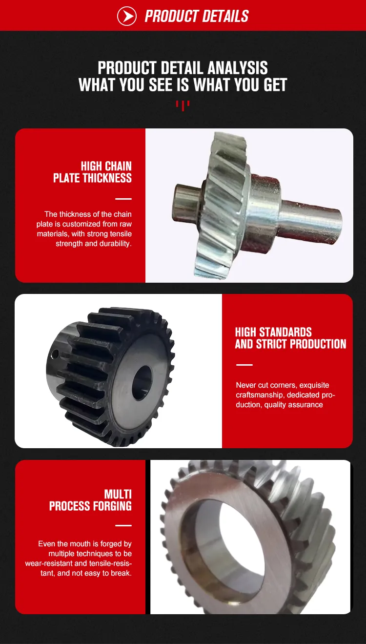 Gear Pinion Details 1