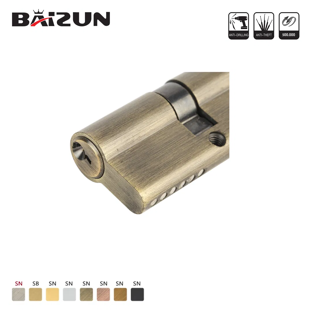 40-160mm Single Row Pin Hotel Lock Cylinder with Computer Key