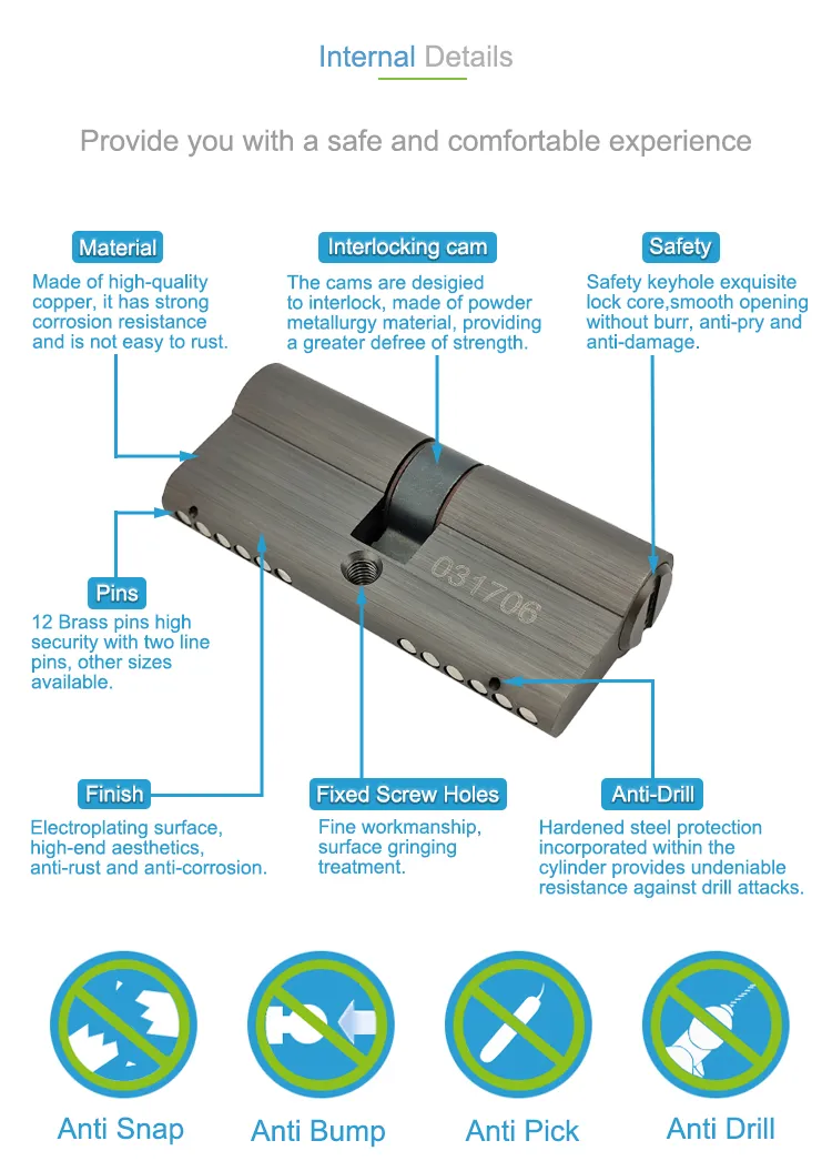Door Lock Cylinder Detail