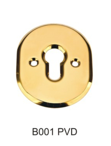 High Quality Stainless Steel Security Door Cylinder Cover (ZS5)