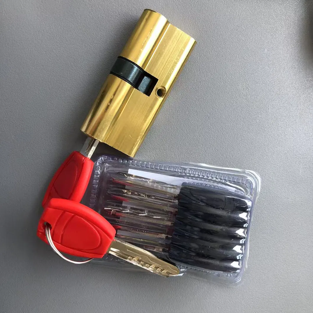 Security Door Lock Cylinders