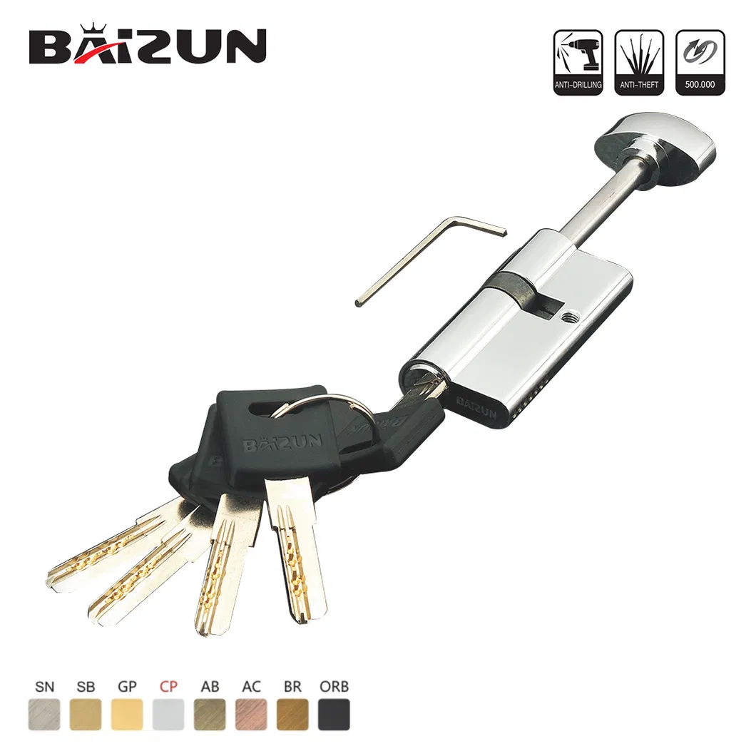 Brass Door Lock Cylinder Details