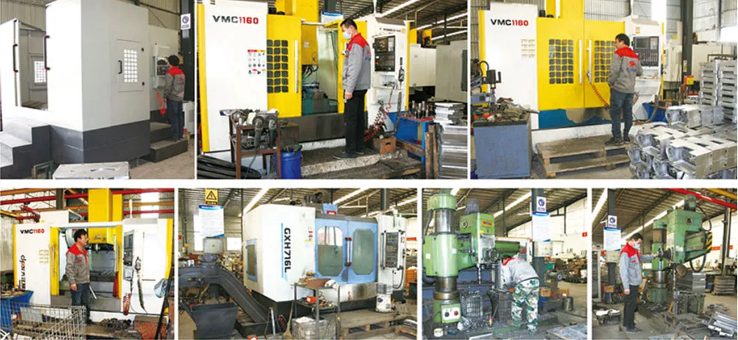 Standardized Process