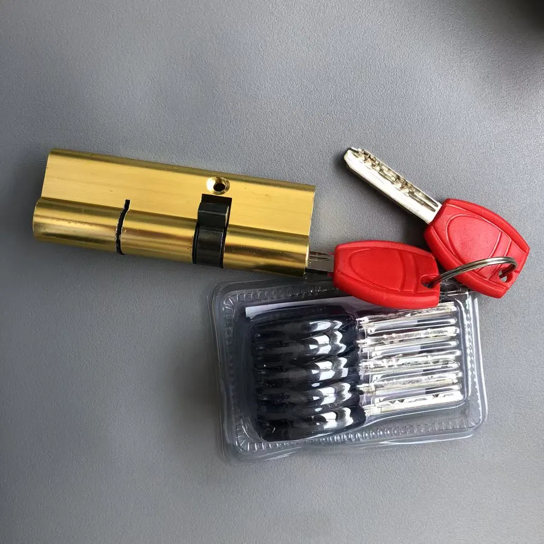 Security Door Lock Cylinders Core