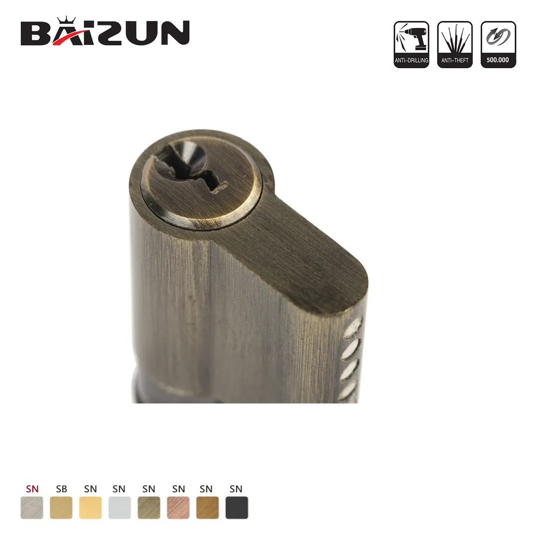 Full Polishing Single Line Pins Anti-Drilling Safety Door/Window Mortise Lock Cylinder