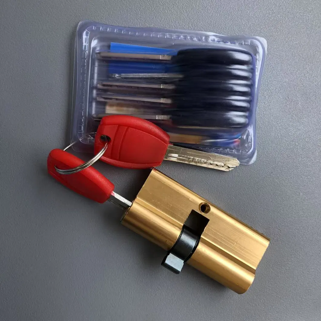 Lock Cylinder Detail