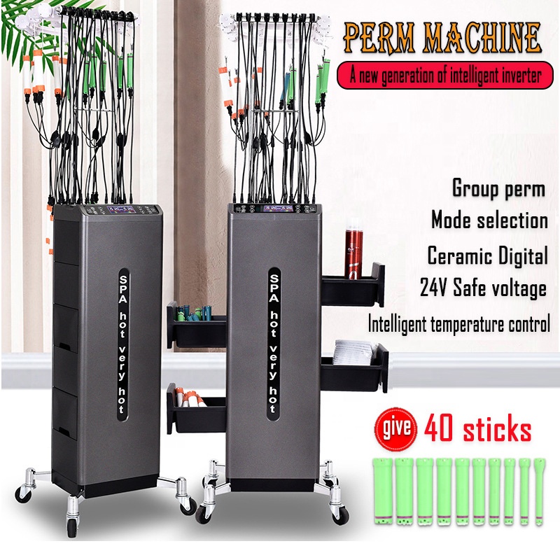 Hair Salon Professional Intelligent Double Core Constant Temperature Digital Perm Curler Roller Machine Hot Ironing Machine 24V