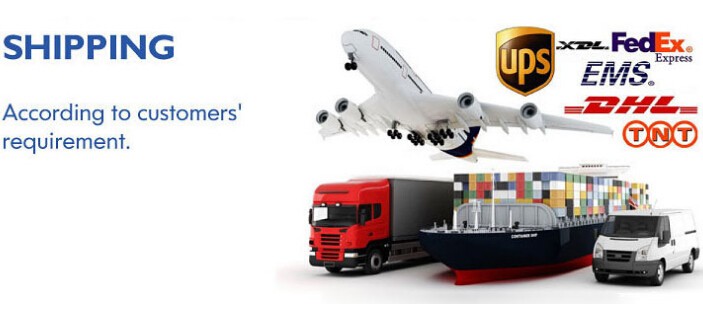 Logistics and Delivery