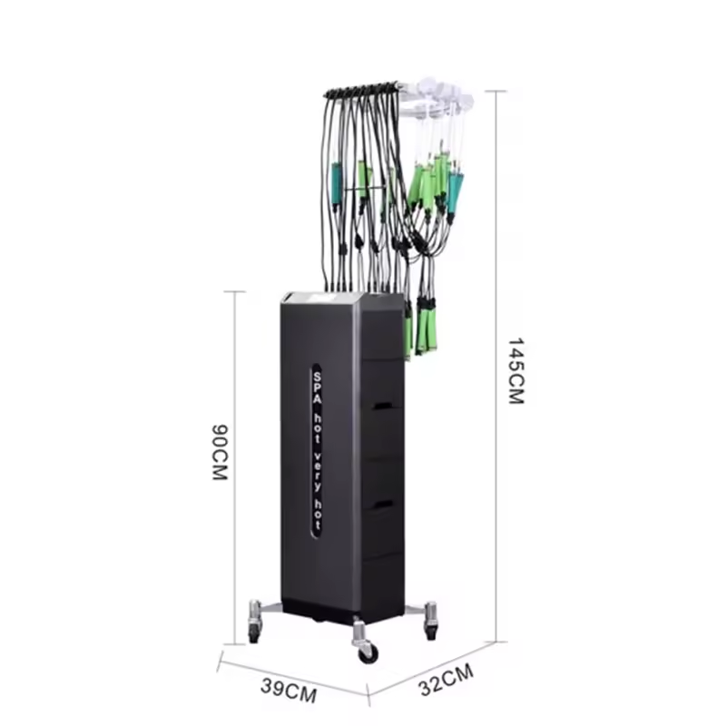 Hair Salon Professional Intelligent Double Core Constant Temperature Digital Perm Curler Roller Machine Hot Ironing Machine 24V